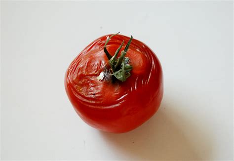 Rotten tomato | Tomato, Rotten tomatoes, Supernatural