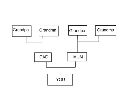 Let our technology do the rest. Family Tree - WriteWork