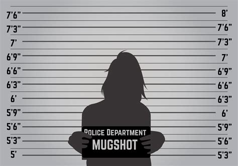 Mugshot Background Vector Download Free Vector Art Stock Graphics