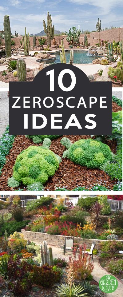 10 Beautiful Zeroscape Yards Gardenlovin Zeroscape Landscaping