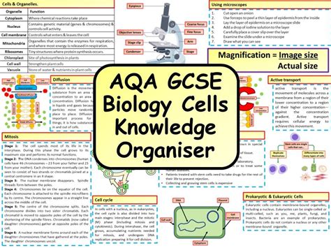 Ks4 Aqa Gcse Biology Science Cells Revision Knowledge Organiser