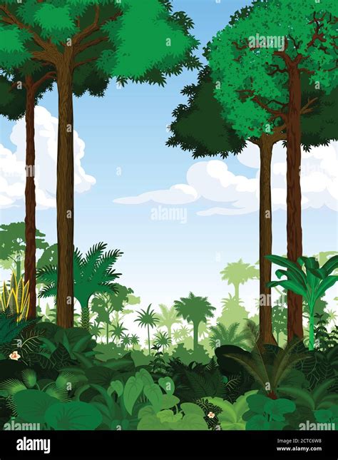 Rainforest Vector Illustration Vector Green Tropical Forest Jungle