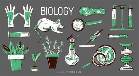 Biology Elements Illustration Set Vector Download