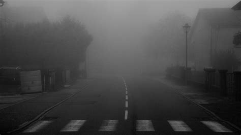 A Foggy Day Flickr