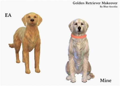 Golden Retriever Makeover At Blue Ancolia Sims 4 Updates