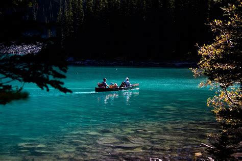 Whitewater Rafting Near Banff On The Kicking Horse River