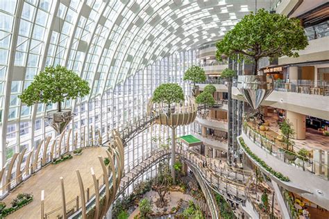 Biophilic Retail Experience By Lead8 Opens