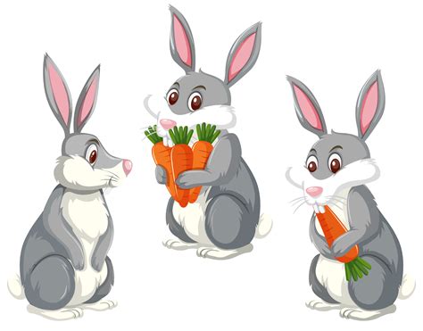rabbit kartun
