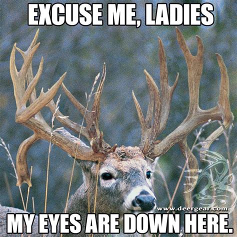 Excuse Me Ladies Deer Hunting Humor Hunting Humor Funny Deer