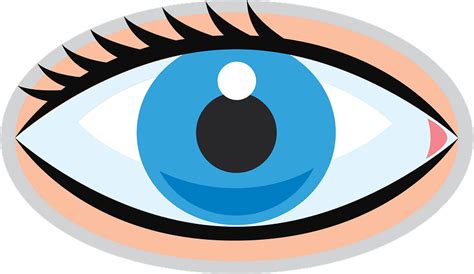 Cartoon Eye Png Svg Clip Art For Web Download Clip Art Png Icon Arts Images