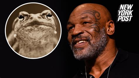 Mike Tyson 'died' while tripping on psychedelic toad venom | Mike tyson