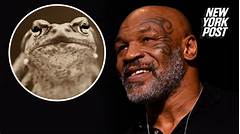 Mickeys Fall From Grace The Dark Side Revealed In Season 6