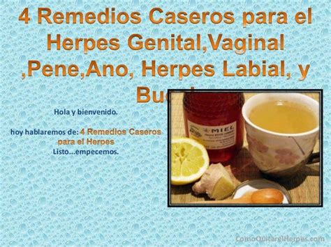 4 Remedios Caseros Para El Herpes Genital Vaginal Pene Ano He