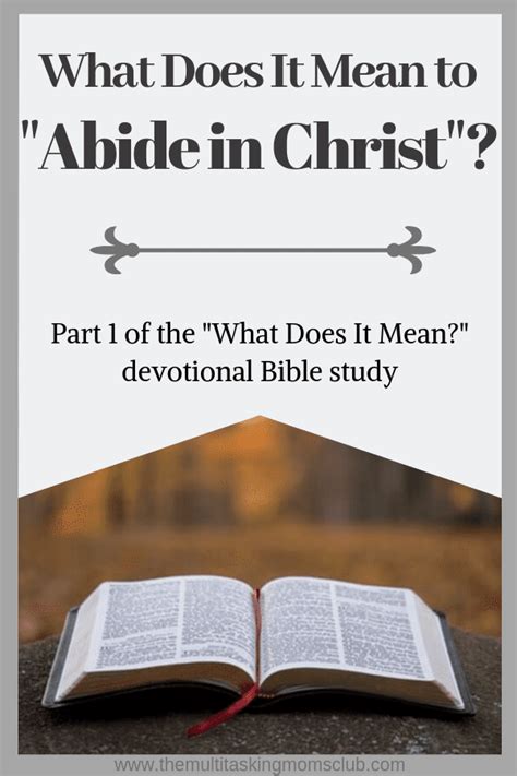 What Does It Mean To Abide In Christ The Multitasking Moms Club
