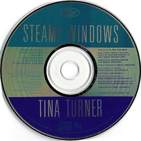 Tina Turner Steamy Windows 6 Mixes Us Promo Cd Single Cd5 5 52118