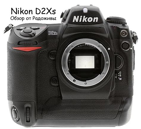 Test Du Nikon D2x Exemples De Photos Sur Nikon D2xs Content