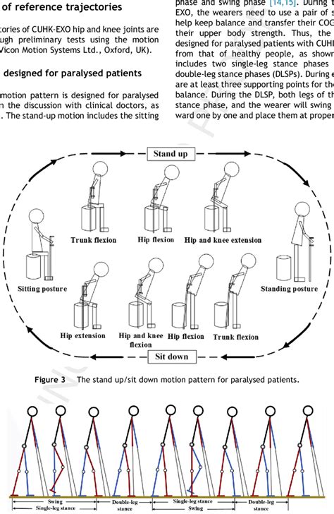 A Gait Cycle In The Walking Pattern Designed For Paralysed Patients