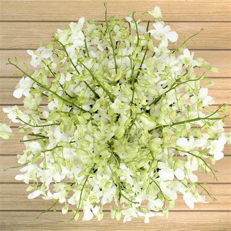 Simply elegant rose wedding collections beautiful bulk flowers for weddings on wedding flowers with wholesale all year round for wholesale wedding costco fl department wedding flowers packages 32 fooe sams bulk flowers top garcinia cambogia home. 60-stem Fresh Orchids (With images) | Orchids, Costco ...