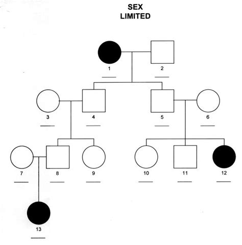 13 Best Genetics And Sex Determination Images On Pinterest Determination Genetics And Ap Biology