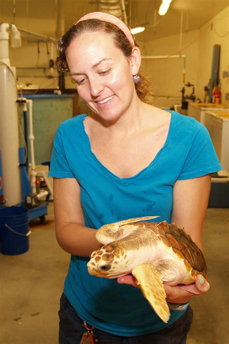 Babe Loggerhead Sea Turtle To Make Public Debut At Skidaway Marine Science Day Skidaway