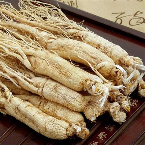 white ginseng roots whole root pieces white panax roots white ginseng roots 250g pack etsy