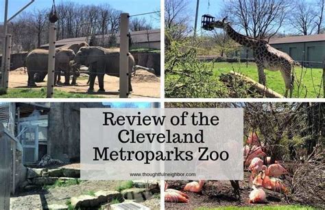 2019 Review Of The Animals Exhibits And Attractions At The Cleveland