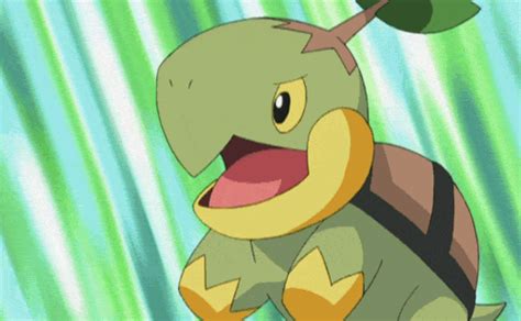 Top 5 Turtle Pokémon Pokémon Amino