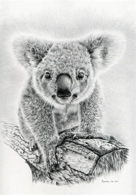 Check spelling or type a new query. Remrov's Autistic Artblurbs: Koala Art, a project to help koalas