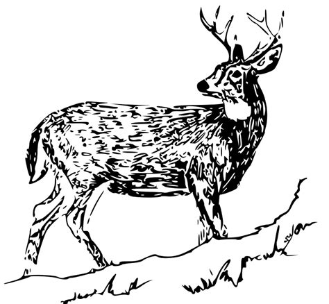 Free Deer Clipart Black And White Clipart World