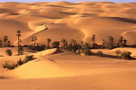 8 óasis Que Vão Te Fazer Querer Ir Para O Deserto