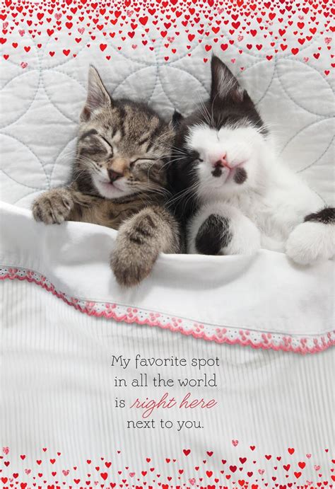 10 Purrfect Valentines Day Cards For Cat Lovers Cat Opedia