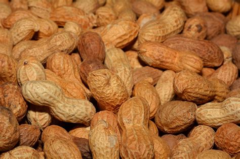History Of Food 5 Interesting Facts About Peanuts