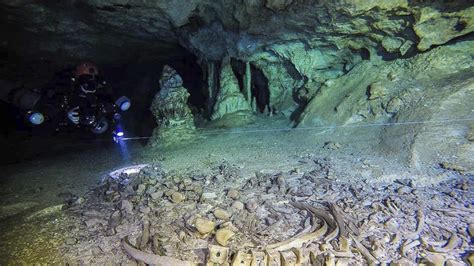 Ancient Human Remains Ice Age Animal Bones Found In Giant Mexican Cave