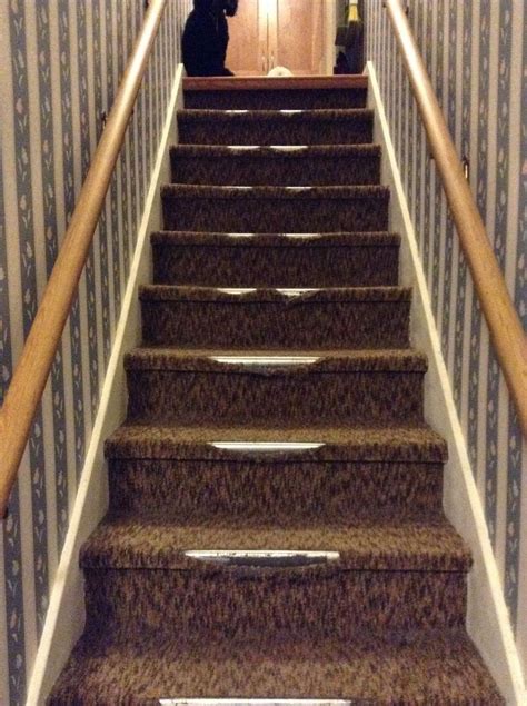 This will keep the carpet down and in place and keep the seams from being visible. Removing Indoor/outdoor Carpet From Stairs | Outdoor ...
