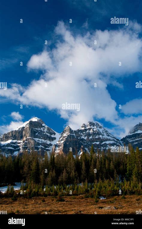 Wenkchemna Peaks From Larch Valley Banff National Park Alberta