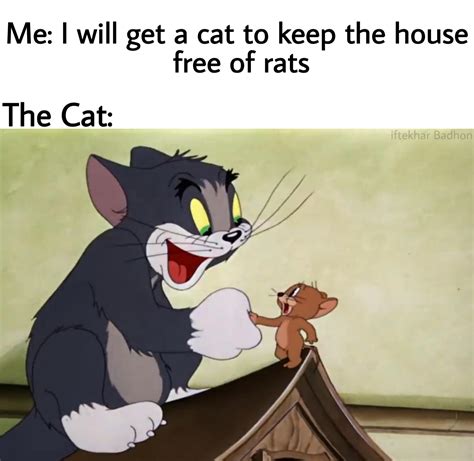 I Think Its Wholesome Meme For Tom And Jerry Lovers Rwholesomememes
