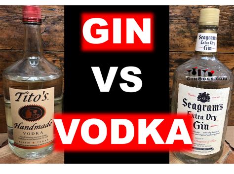 What Is The Difference Between Gin And Vodka Gin Reviews
