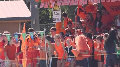 The 2014 High School Swimming Carnival Youtube