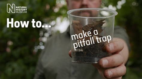 How To Make A Pitfall Trap The Kid Should See This