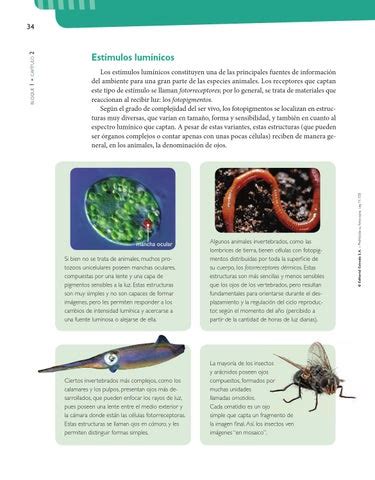 Biolog A Es Serie Huellas By Macmillan Publishers S A Issuu