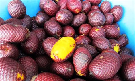 The Ultimate List Of The Strangest Most Unusual Fruits In The World
