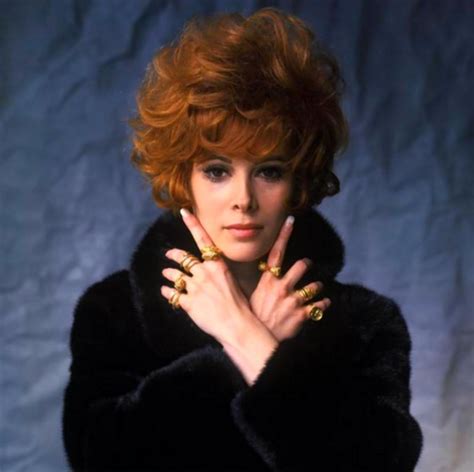 Classic Beauty With An Iq Of 162 Stunning Photos Of Jill St John In