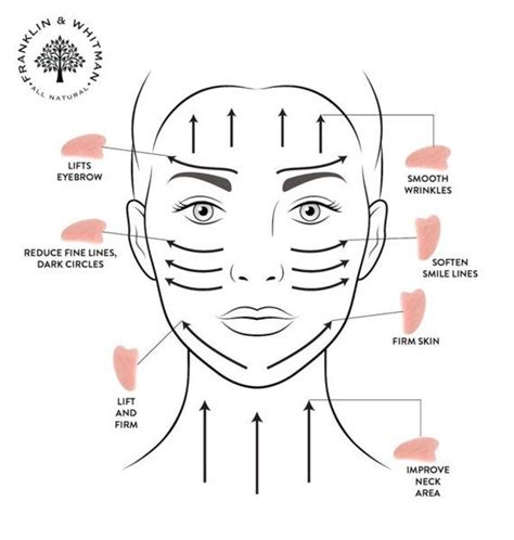 Gua Sha Technique Chart In 2021 Face Massage Gua Sha Facial Face Skin Care