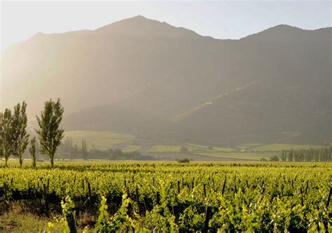 A former province (region) in chile. Chilean Sparkling Wines: Precious Bubbles From The Curico ...