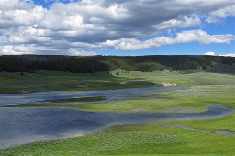 One of the best places to catch a glimpse of yellowstone's fascinating wildlife is hayden valley. A part of Yellowstone that I didn't expect: Yellowstone ...