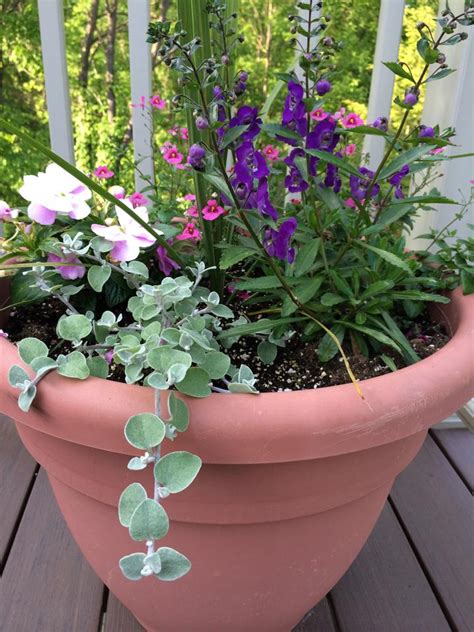 Brennans landscaping 6 | Brennan Landscaping