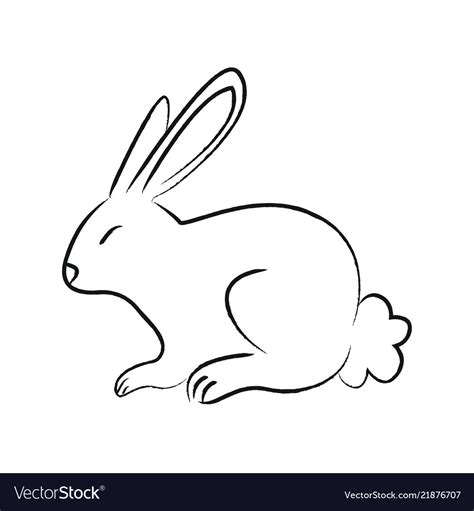 Outline Draw Rabbit Royalty Free Vector Image Vectorstock