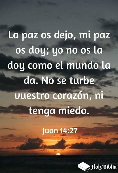 ¿quieres Paz Versículos De La Biblia Sobre La Paz De Dios