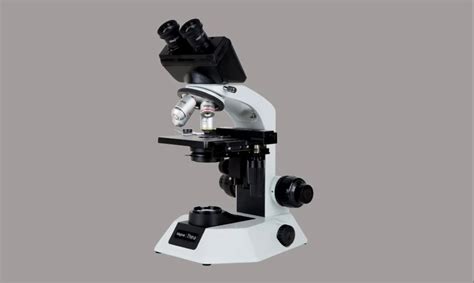 Magnus MLX B Plus Binocular Microscope With Semi Plan Achromat Objectives At Rs Piece