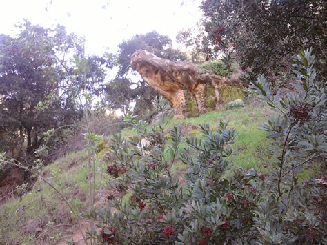 Living in elysian park offers residents an urban suburban mix feel and most residents rent their homes. Elysian Park - Portola Trail - LA Trail Hikers